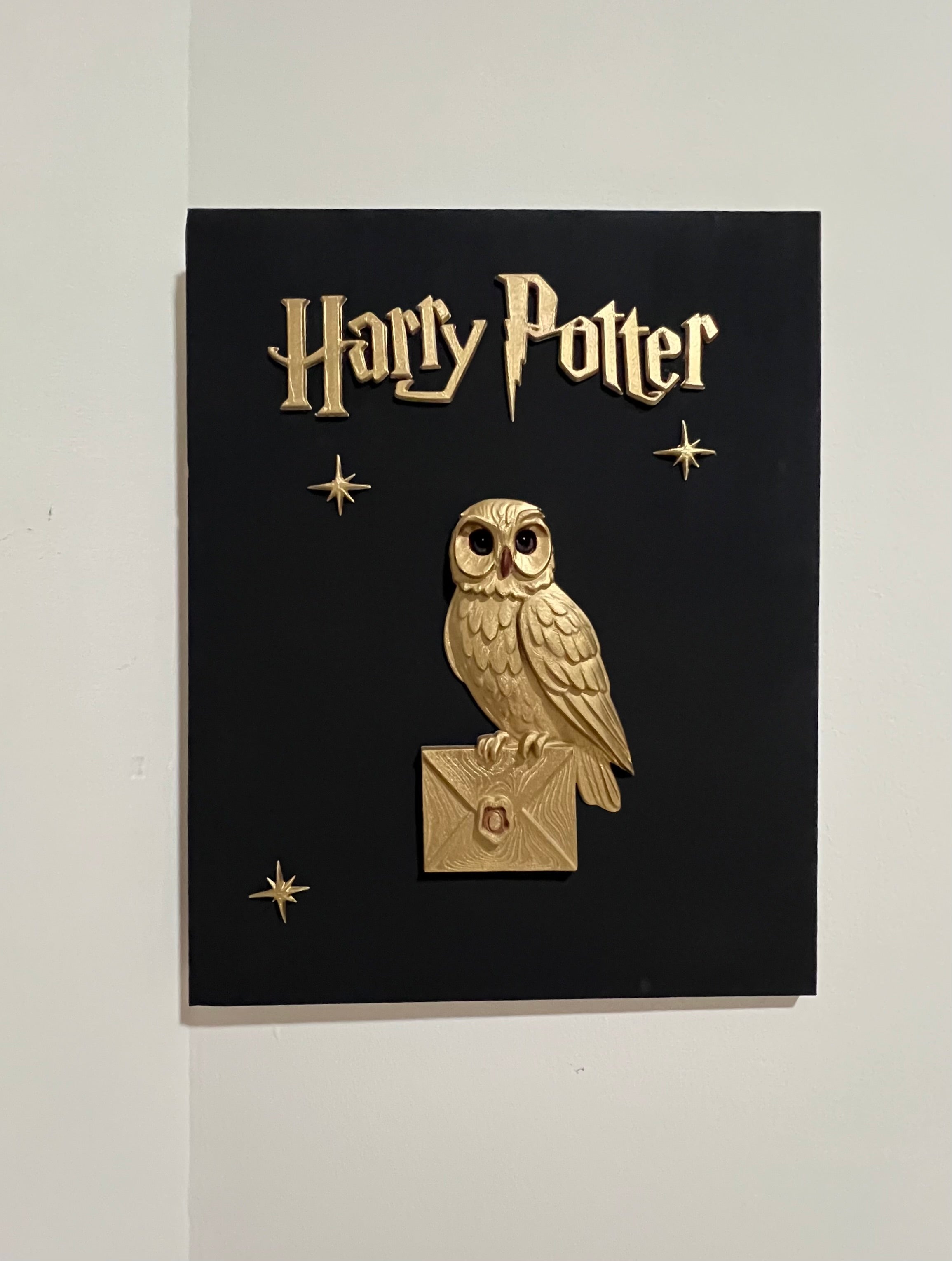 Harry Potter 3D Canvas Wall Art – 50×40 cm (Handcrafted Premium Edition)